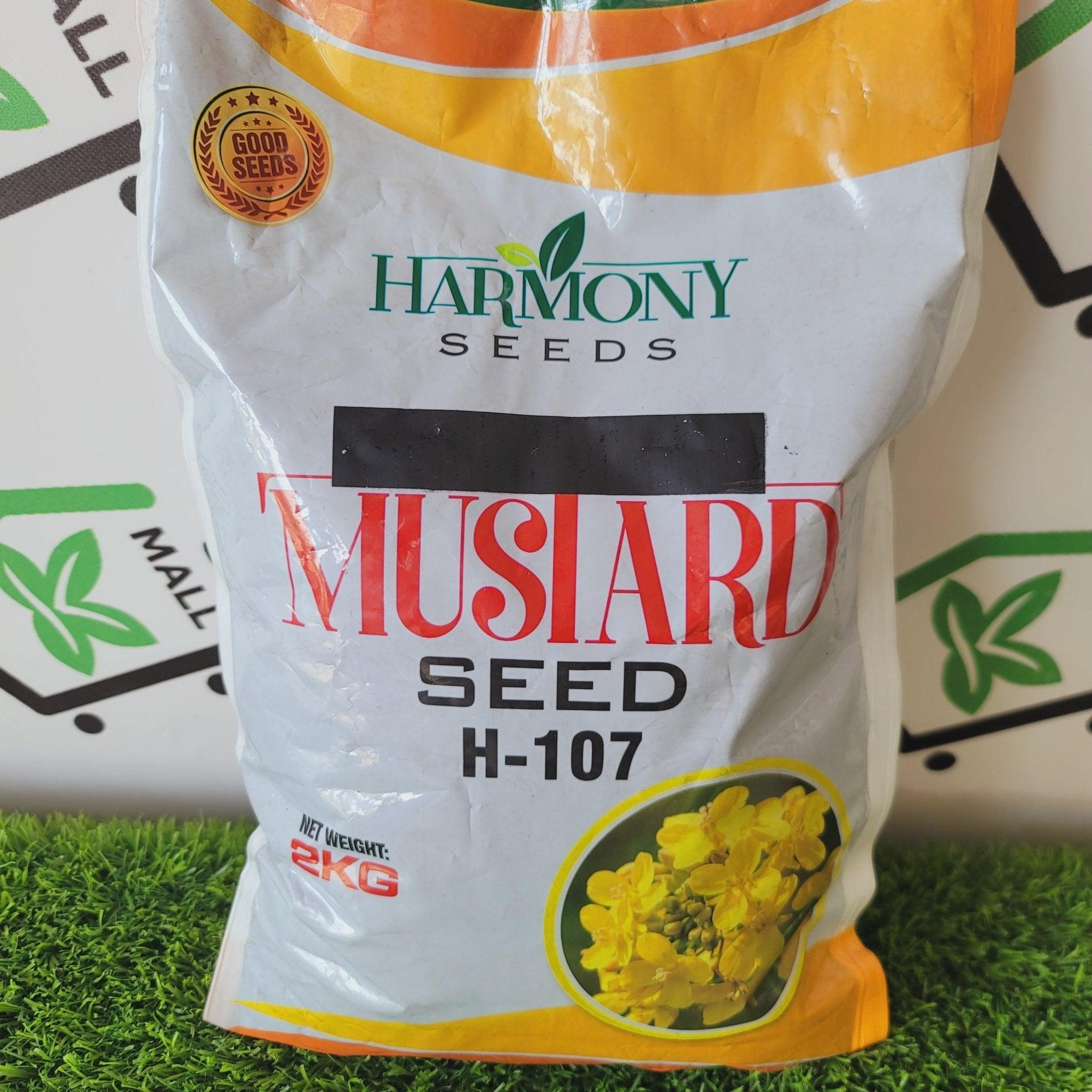 Mustard Seed H-107 2 kg - kissanmall.pk 