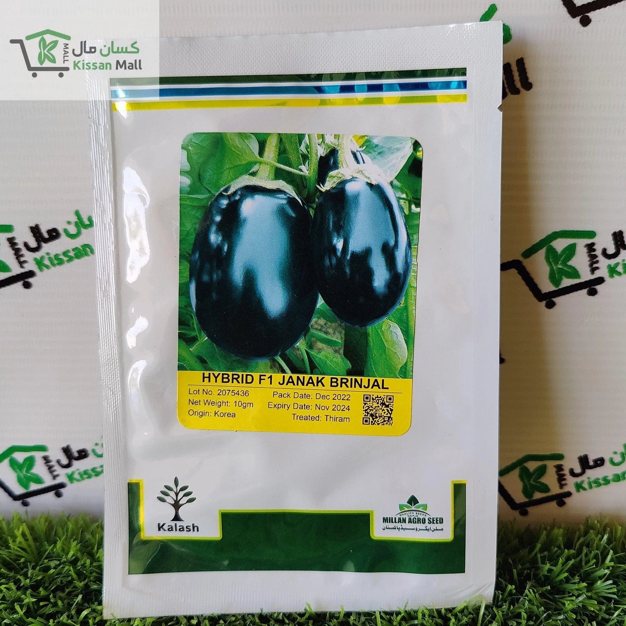 Brinjal Janak F1 Hybrid Seed - Kissan Mall 