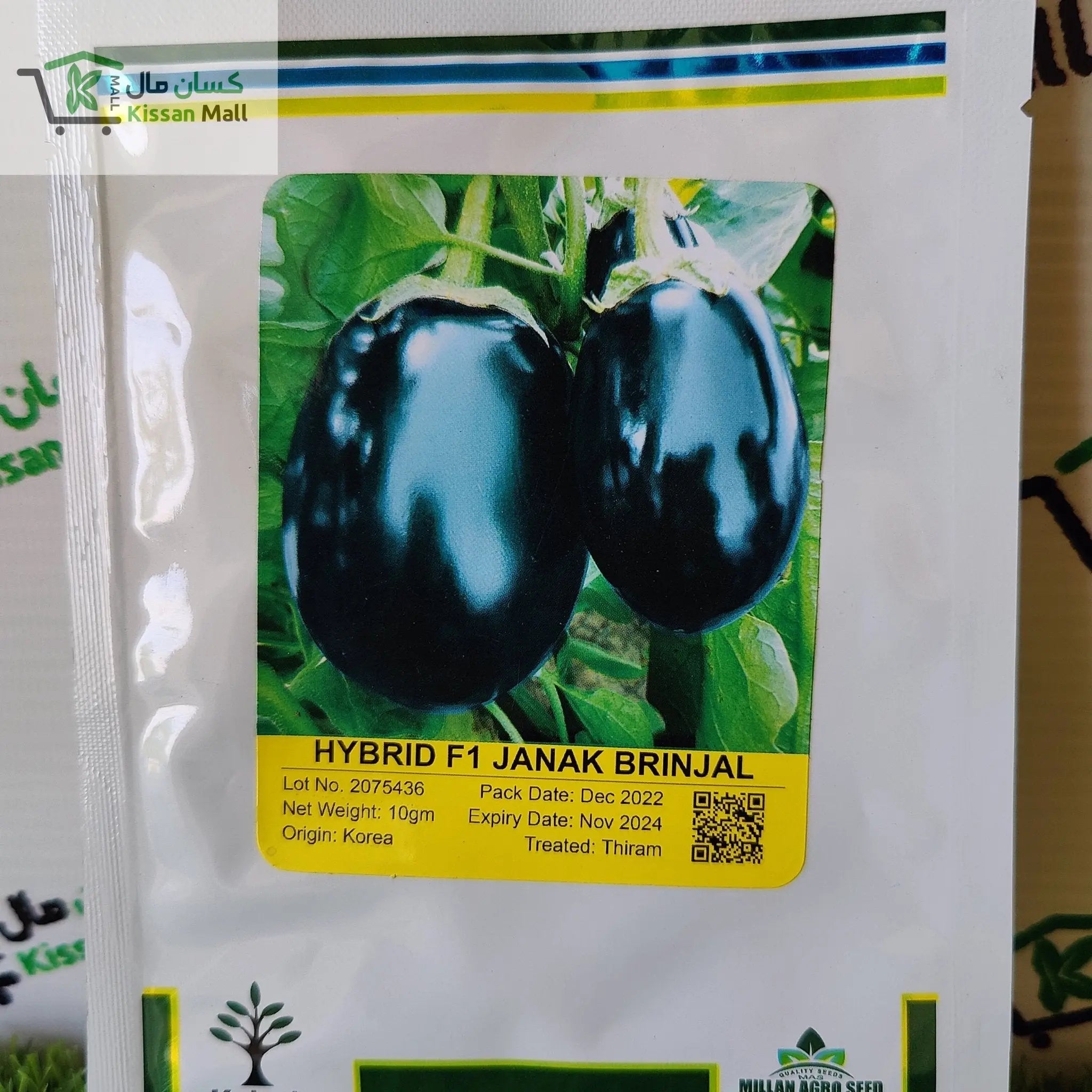 Brinjal Janak F1 Hybrid Seed - Kissan Mall 