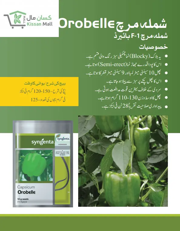 Capsicum (Orobelle 10g) - Kissan Mall 