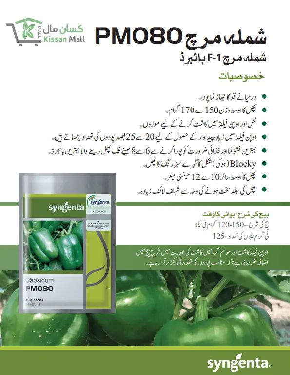 Capsicum (PM080 11g) - Kissan Mall 