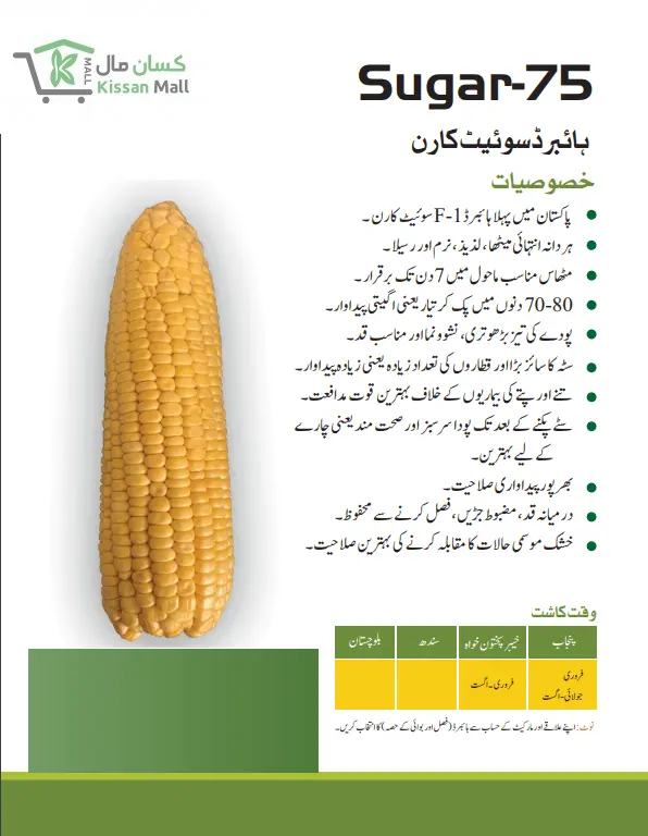 Corn (Sugar-75-1kg) - Kissan Mall 