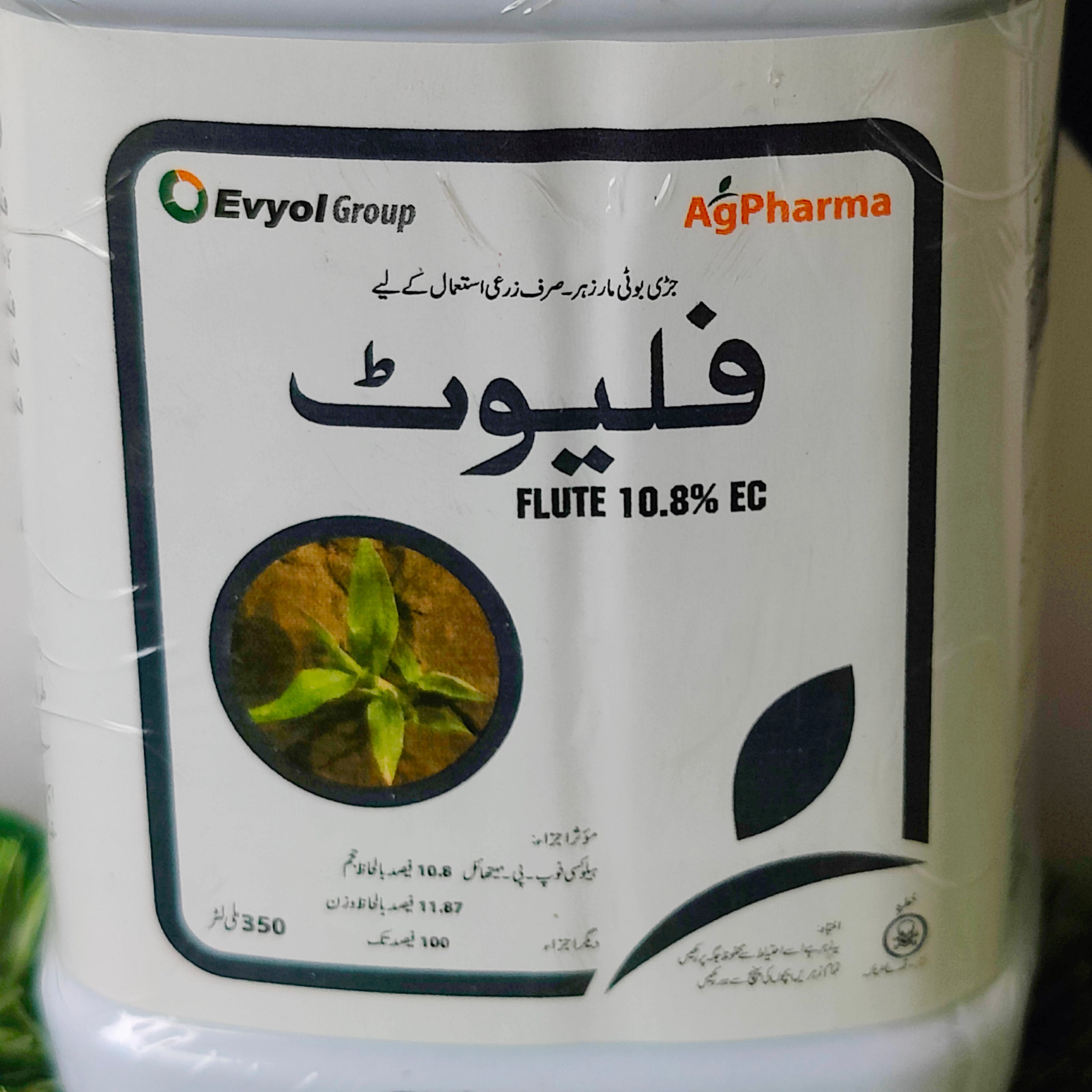 Flute 350 Ml - Kissan Mall 