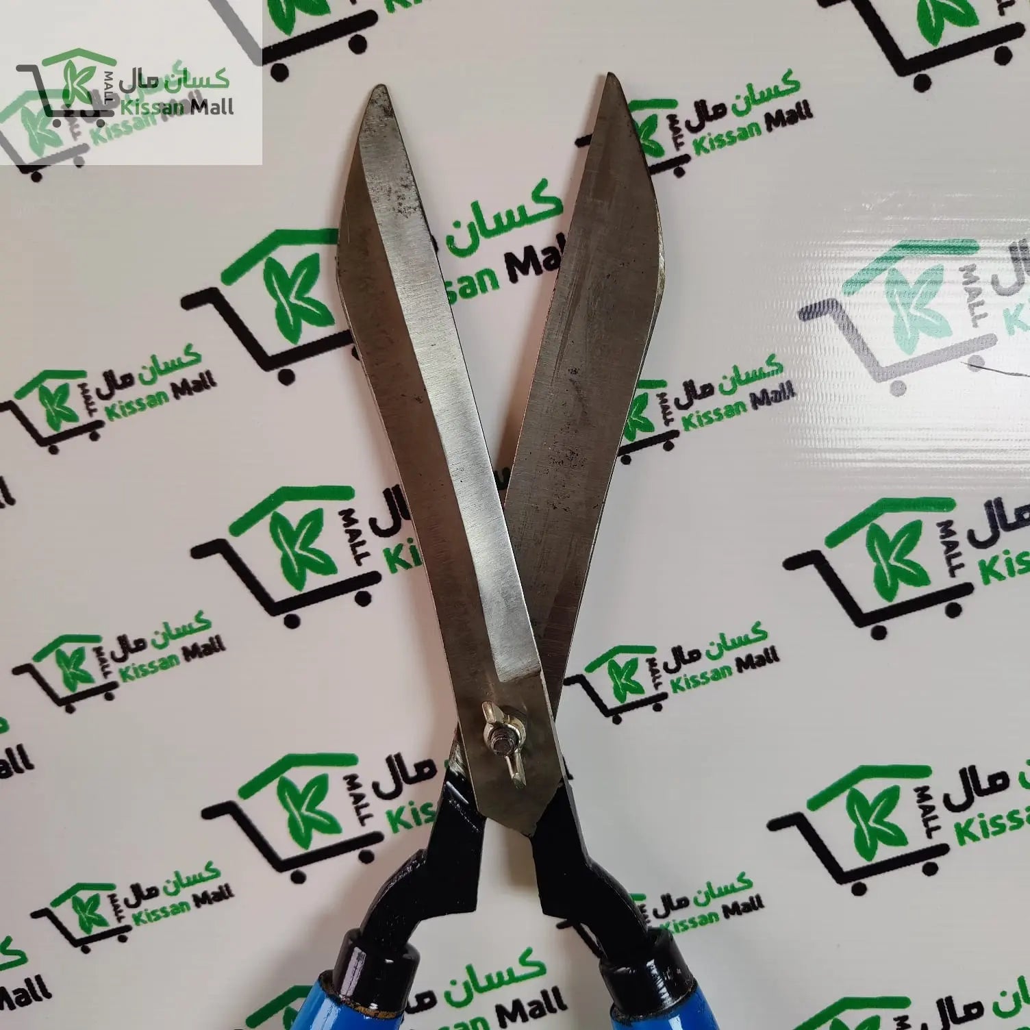 Garden Pruning Scissor (medium) - Kissan Mall 