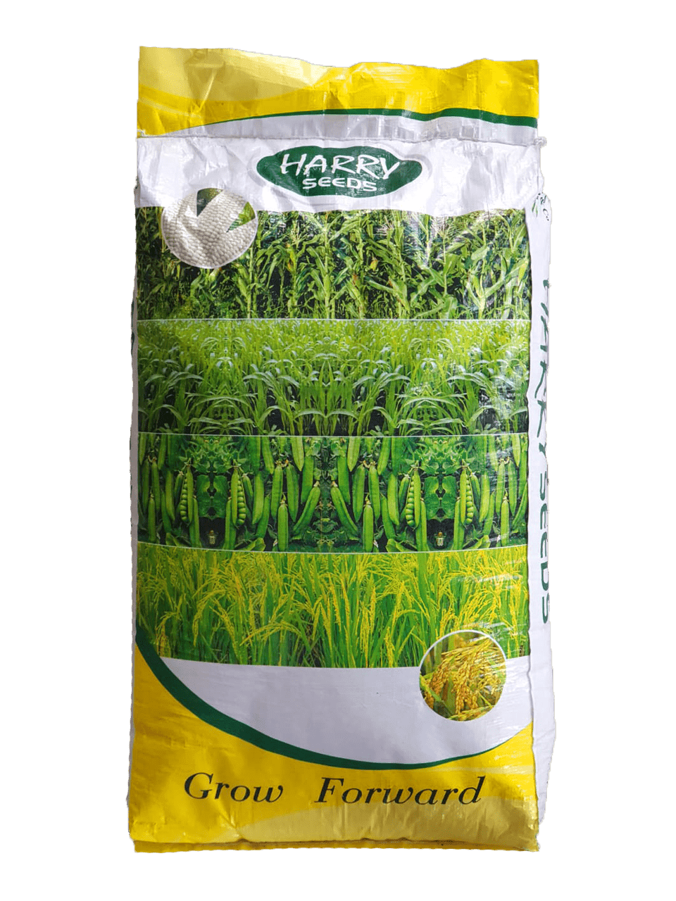 Maize Fodder - Sorghum Sudan Grass - kissanmall.pk 