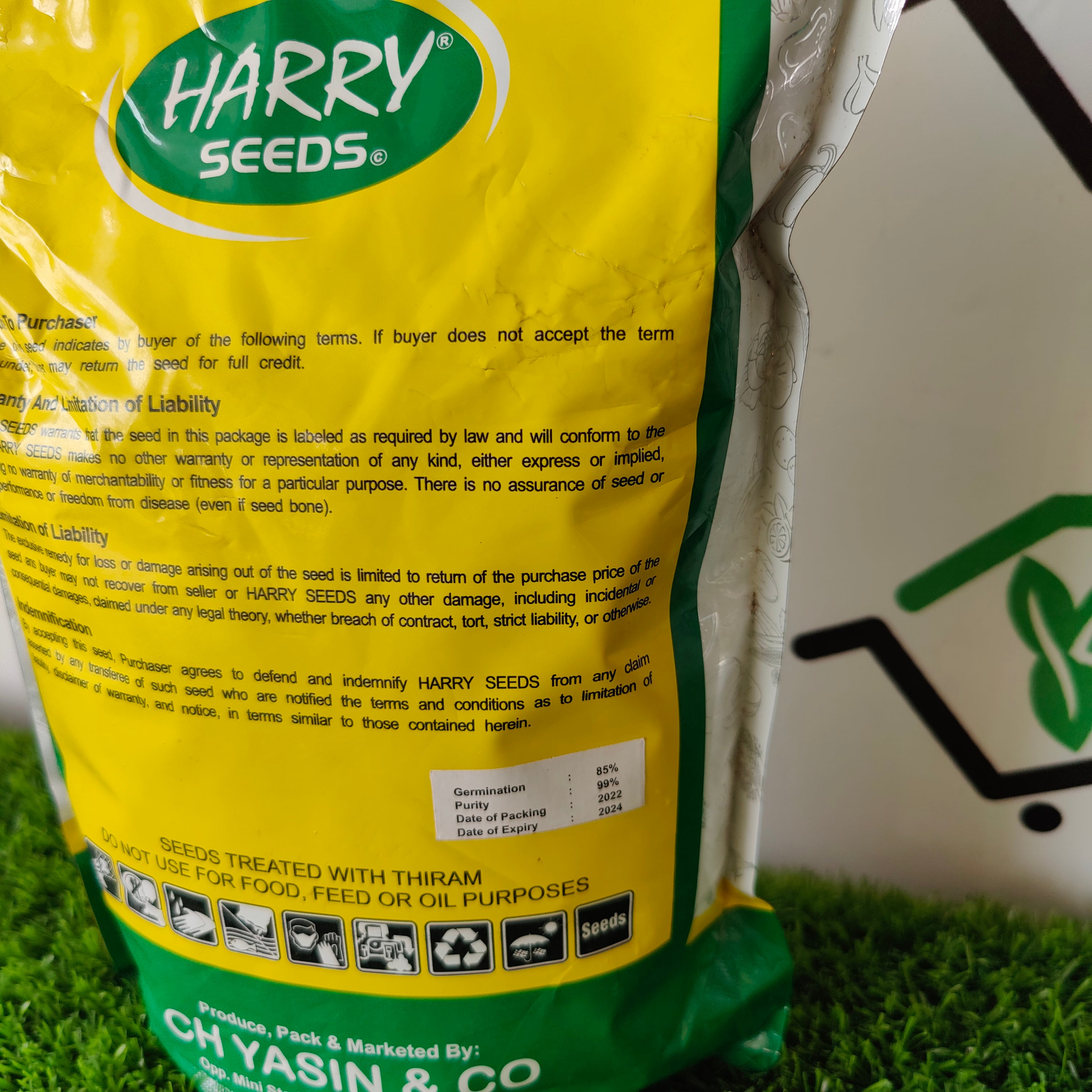 Harry Spinach All Green - Kissan Mall 