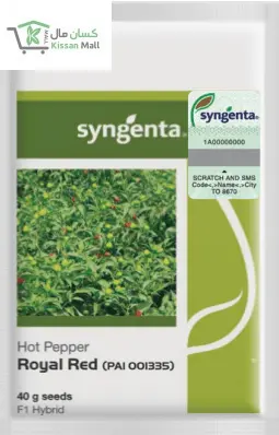 Hot Pepper (40g) - Kissan Mall 