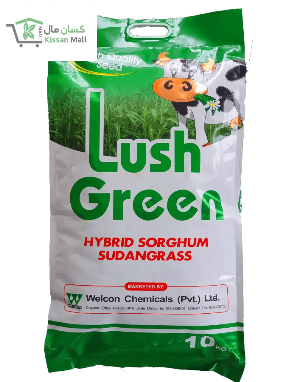 Hybrid Sorghum Sudan Grass-Lush Green - Kissan Mall 