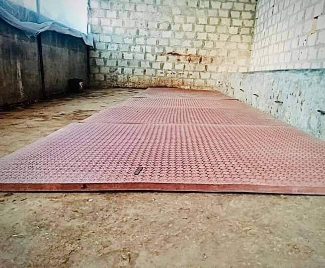 Cow Mat - Kissan Mall 