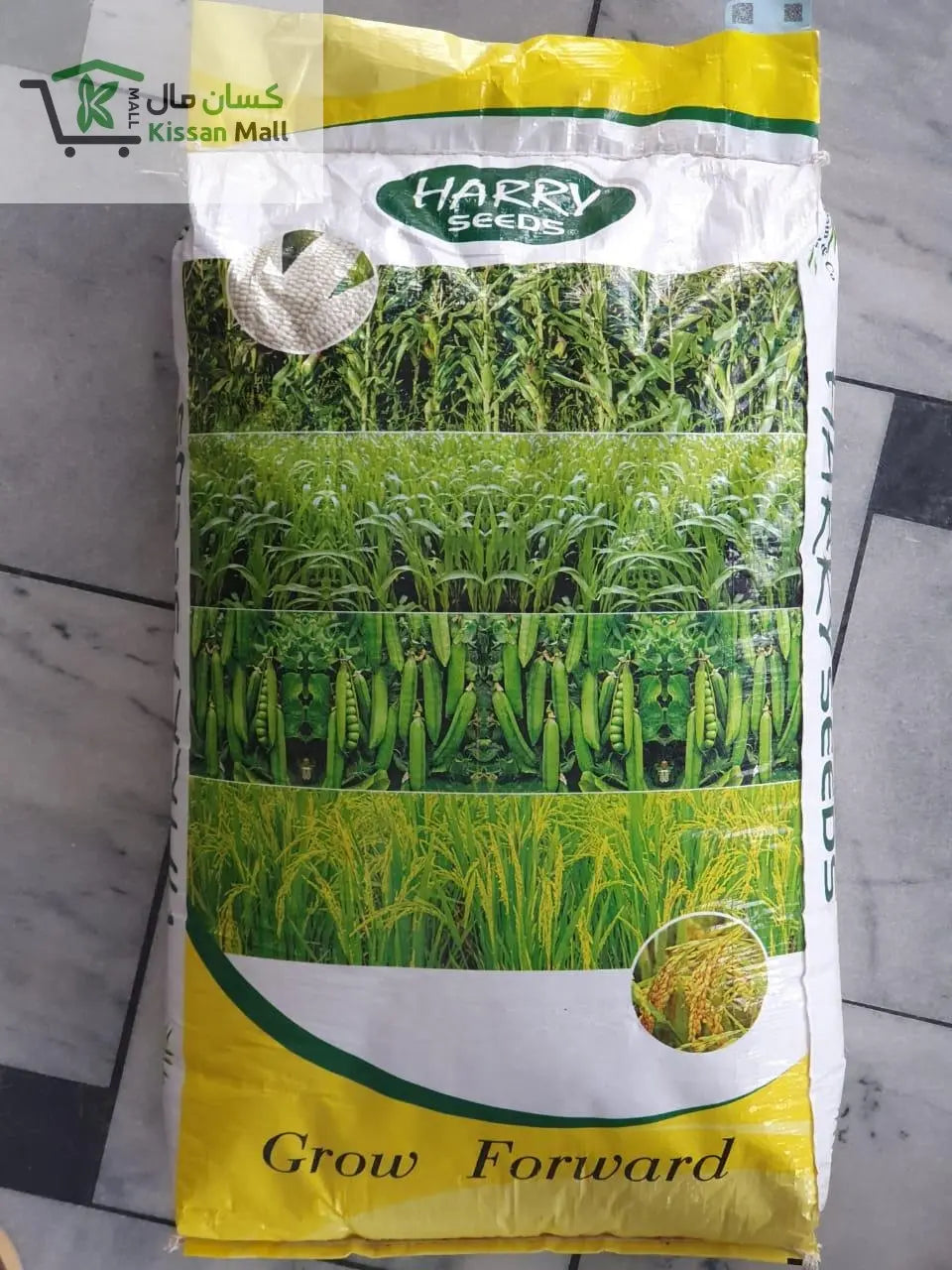 Maize Fodder - Sorghum Sudan Grass - Kissan Mall 