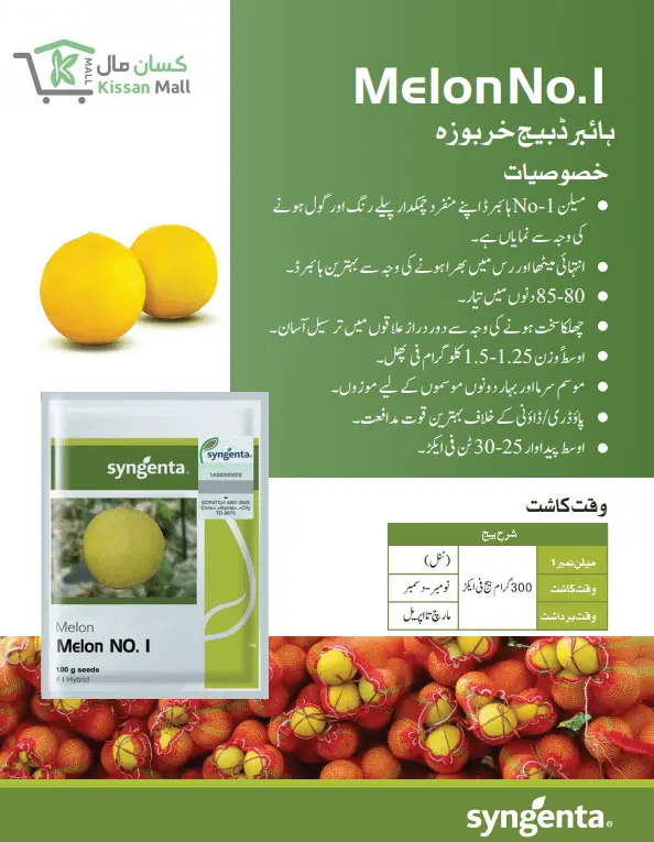 100g) - Kissan Mall