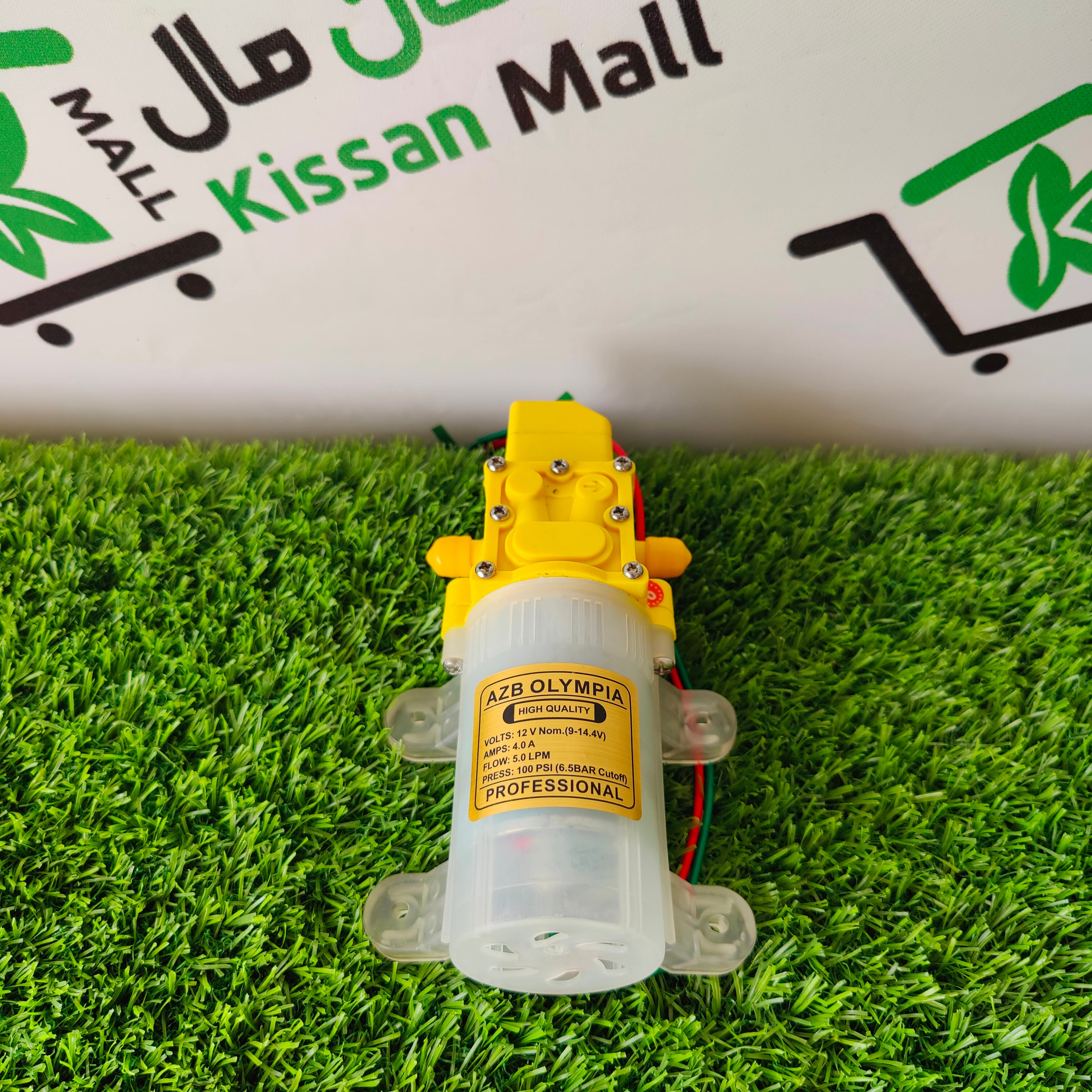 Spray Machine Motor 12 Volt AZB - Kissan Mall 