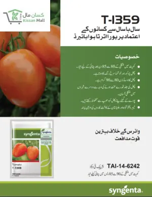 3000 seeds pack) - Kissan Mall