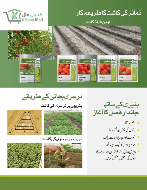 3000 Seeds) - Kissan Mall