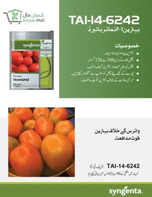 3000 Seeds Pack) - Kissan Mall