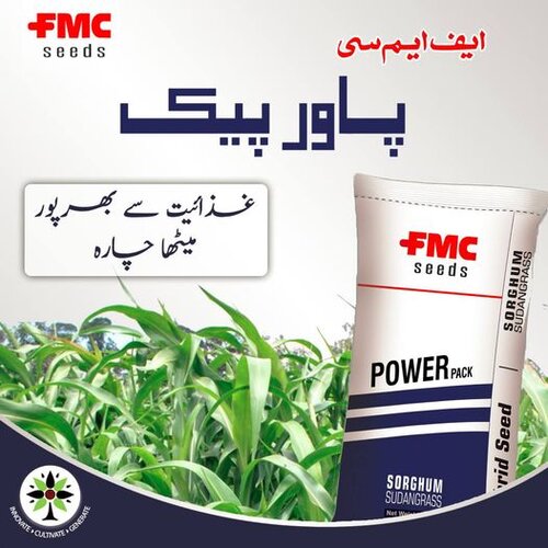 FMC Power Pack Forage Sorghum Hybrid Seed - kissanmall.pk