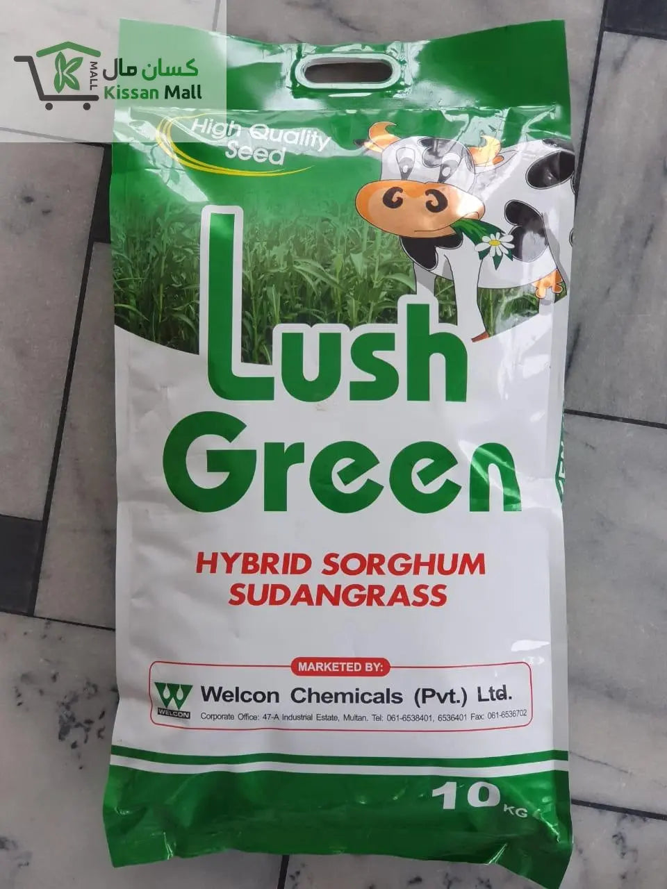 Hybrid Sorghum Sudan Grass-Lush Green - Kissan Mall 