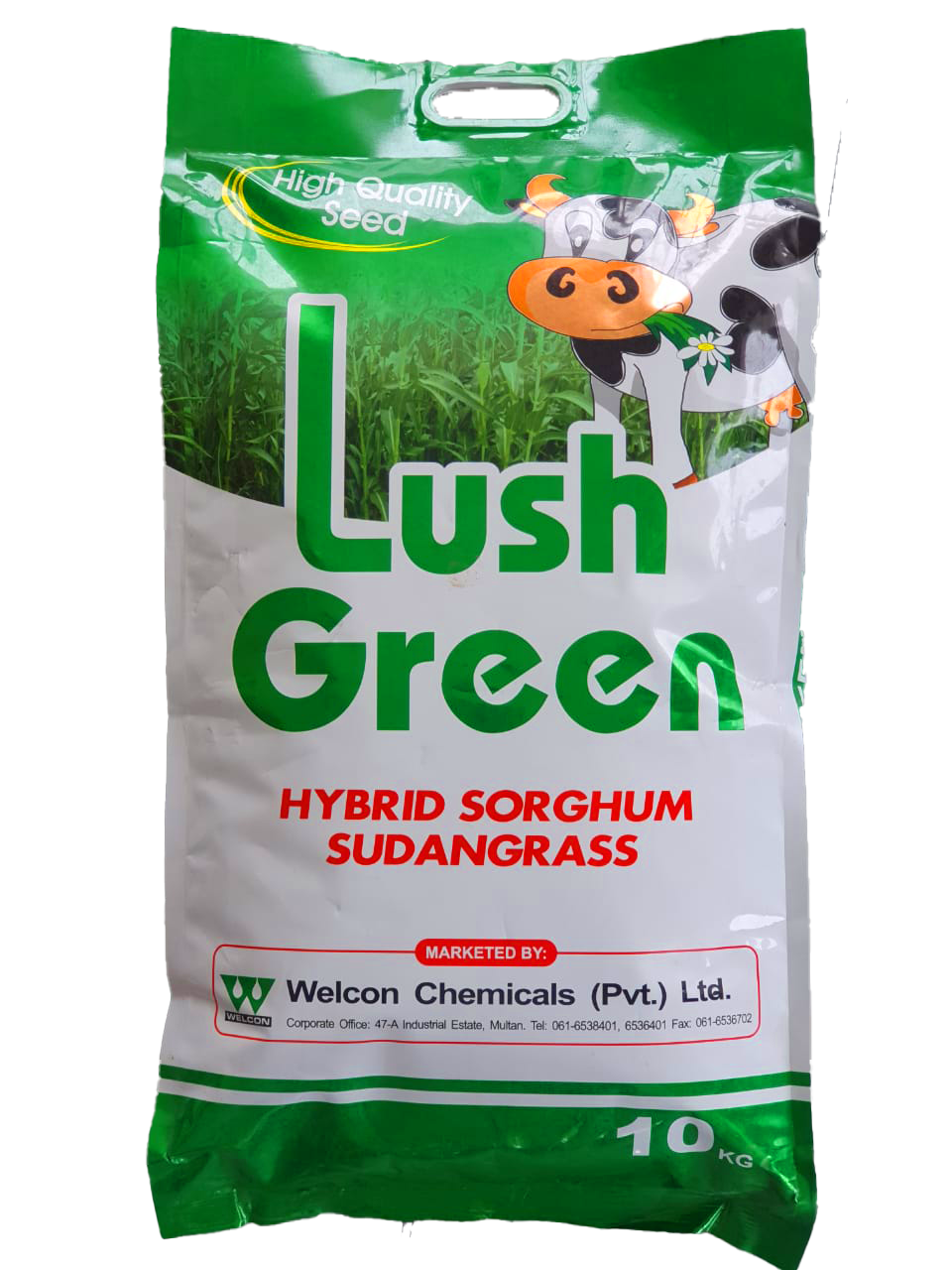 Hybrid Sorghum Sudan Grass-Lush Green - kissanmall.pk